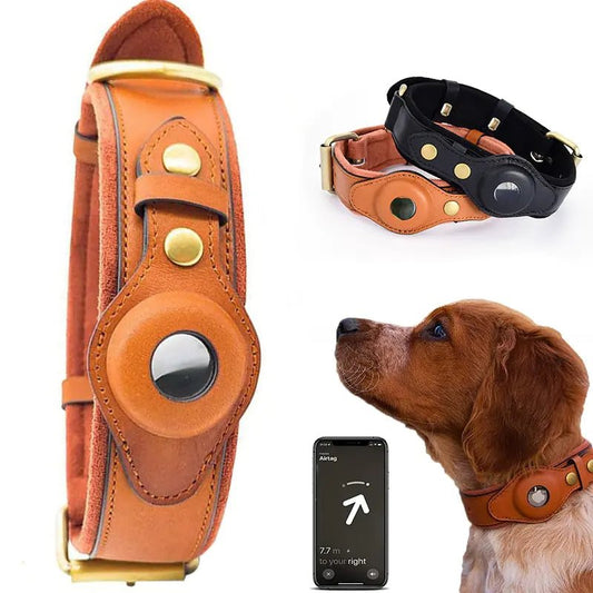 Leather Anti-Lost Dog Collar - Petzino